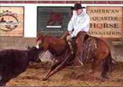 Buck Spring Sally placing in the top 10 at 2007 NCHA Western Nationals