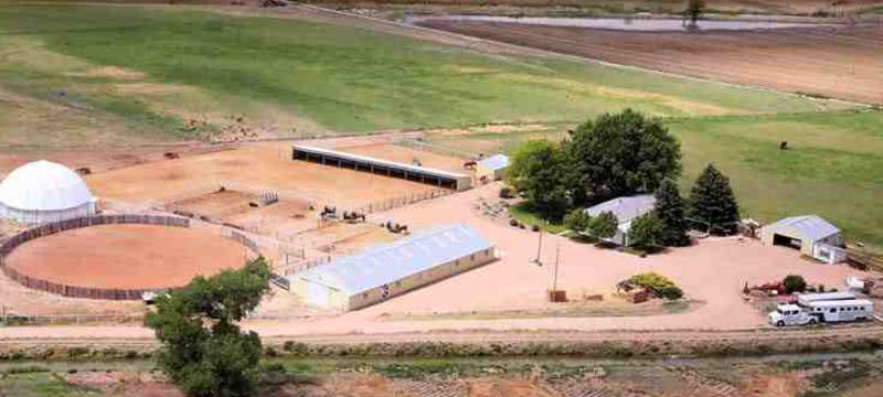 Birds eye view of our yard